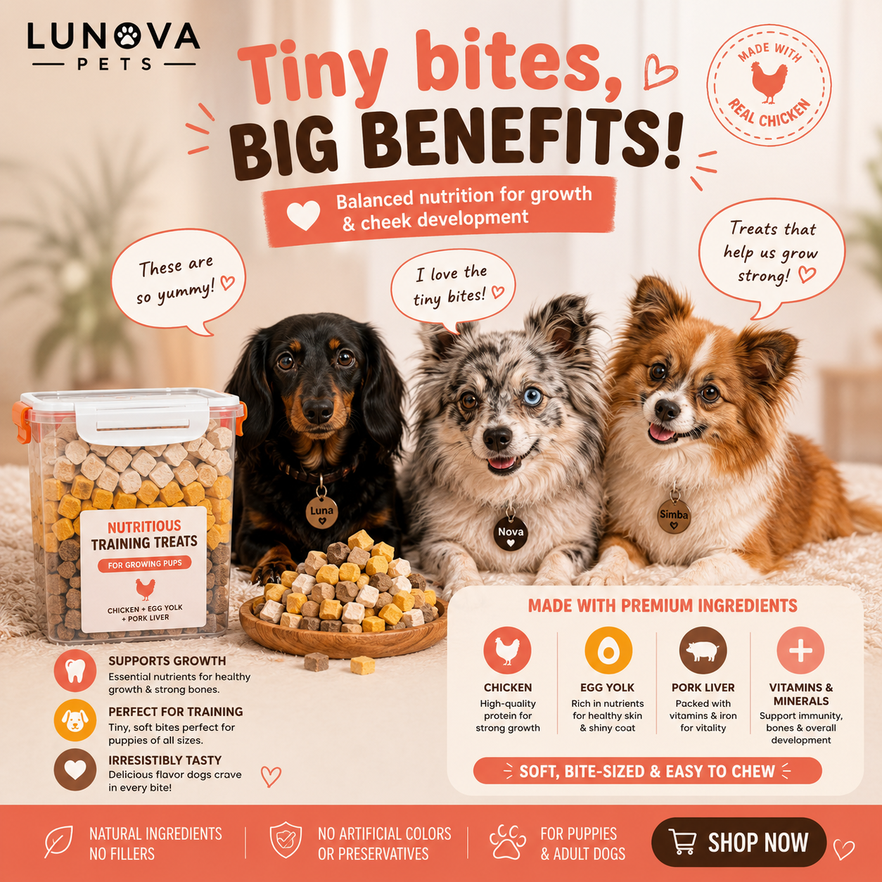 Freeze-Dried Treats