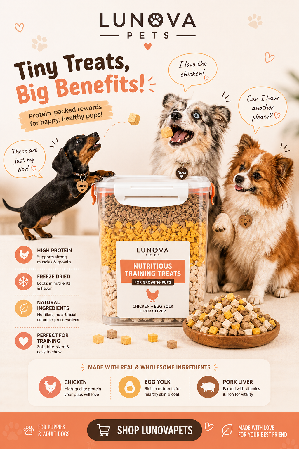 Freeze-Dried Treats